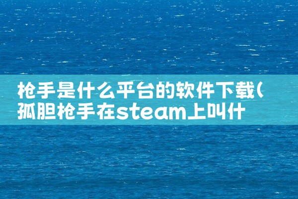 枪手是什么平台的软件下载