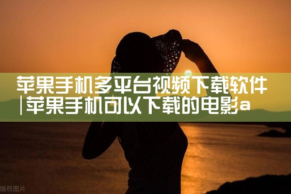 苹果手机多平台视频下载软件