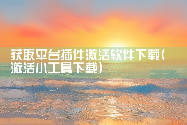 获取平台插件激活软件下载