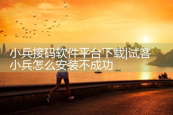 小兵接码软件平台下载