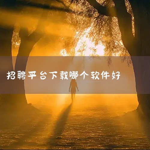 四、中高端人才与专业服务类《猎聘》定位于中高端人才对接平台，融合专业猎头服务与智能算法推荐，汇聚大量知名企业岗位，适合有丰富工作经验或专业技能的求职者。《BOSS直聘》覆盖主流互联网、金融、文化传媒等,