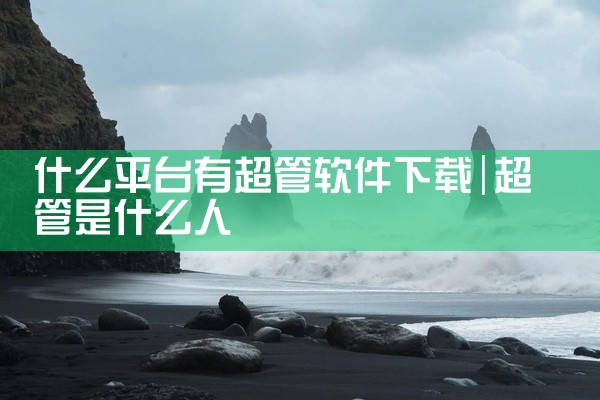 什么平台有超管软件下载