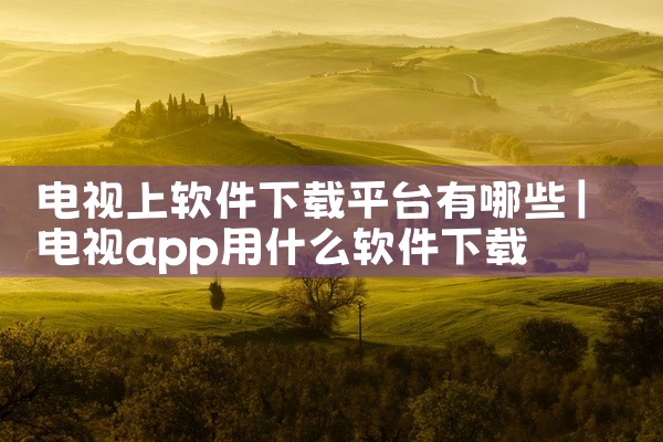 电视上软件下载平台有哪些