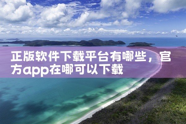 正版软件下载平台有哪些