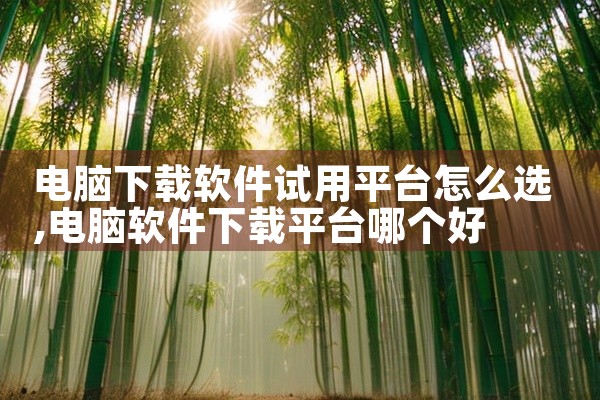 电脑下载软件试用平台怎么选