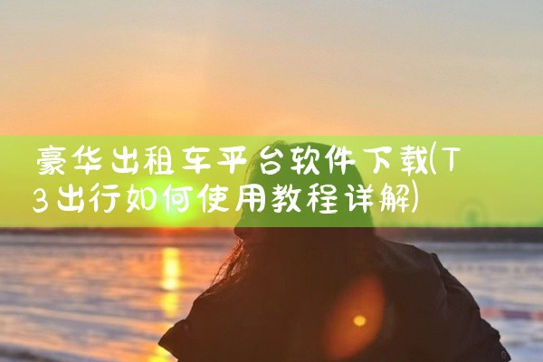 豪华出租车平台软件下载