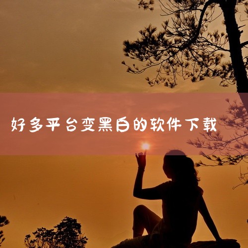 https://pan.baidu.com/s/15GuvDsHCIqyLcyUQqSx0uA?pwd=c8pi 《黑白软件库2026》汇集精选实用工具，分类清晰，安全稳定下载无忧。,